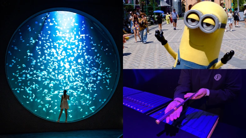 2025新加坡旅遊新地圖！5大必去景點開箱，升級版海洋生態館、小小兵樂園、哈利波特展一次看