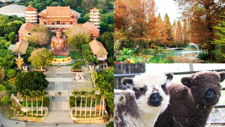 2025彰化景點懶人包！落羽松秘境、超靈驗月老廟10個必訪攻略一次看