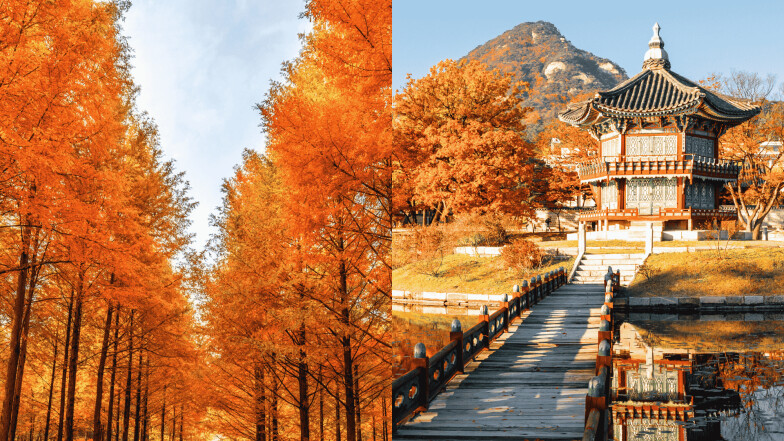 2025首爾賞楓懶人包！韓國賞楓季節、10個首爾市區、近郊賞楓景點推薦