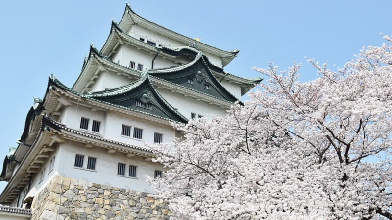 暑假必玩!日本中部城市吸引人的6大亮點