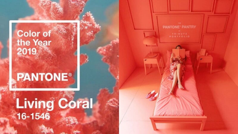 準備好迎接2019的年度色彩了嗎？充滿活力且不失柔和的「珊瑚橘」正是Pantone指定色彩！