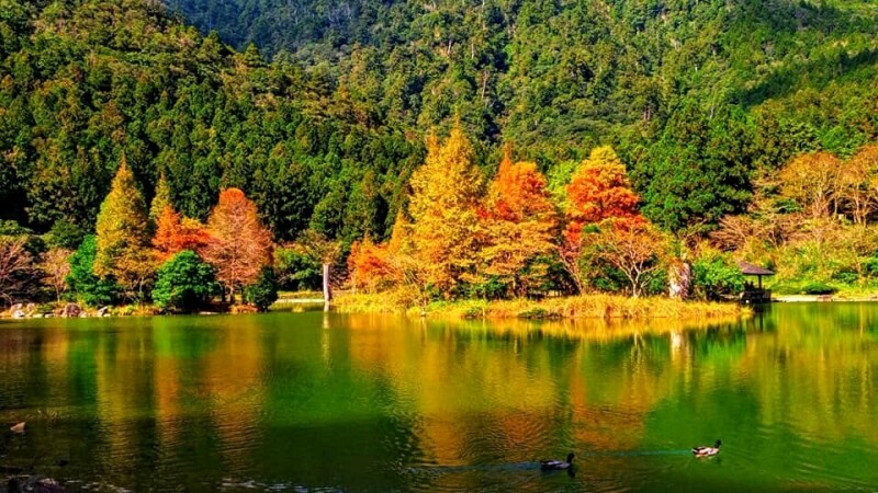 【玩咖懶人包】2019全台最強賞楓攻略!6大夢幻秋天景點總整理,完全媲美電影場景~