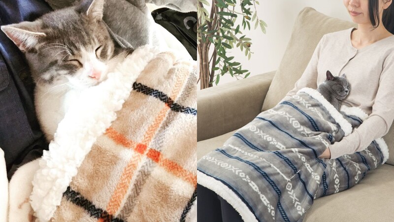想被療癒必買！日本推「寵物專用口袋毛毯」跟著貓咪小狗們一起溫暖過冬