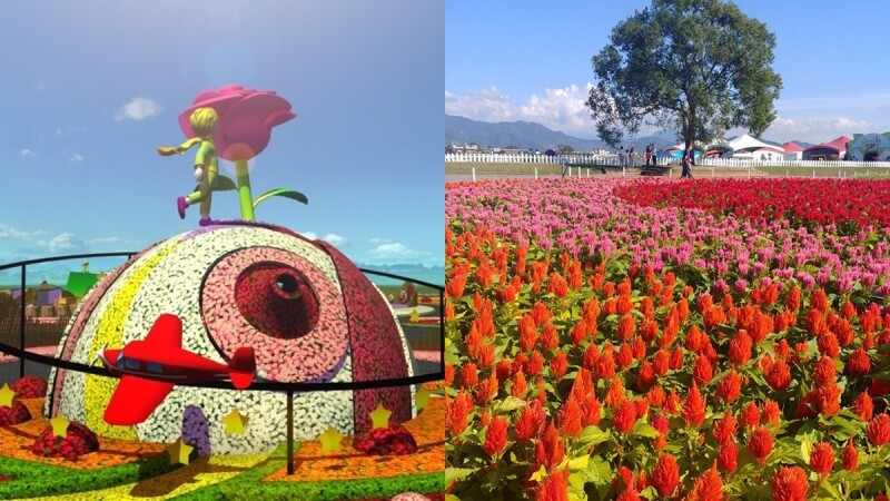 全世界最大朵玫瑰！「2019台中國際花毯節」打造《小王子》童話風美景，必拍花卉、交通資訊總整理