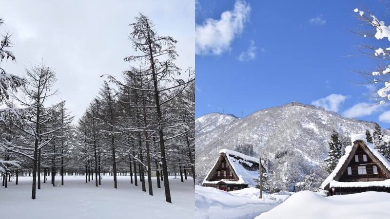 冬天追雪好浪漫!2019年日、韓各地「初雪」預測時間大公開,快走進絕美銀白世界中