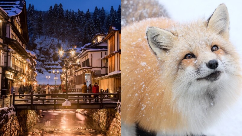【玩咖懶人包】特搜5大日本、韓國賞雪美景!《神隱少女》電影場景、破百隻狐狸村萌翻