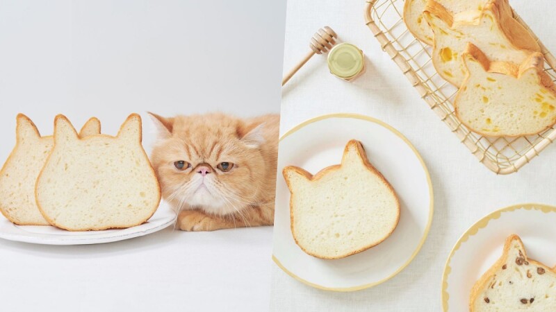 貓奴必吃！日本推出「貓咪吐司」超萌貓臉造型讓早餐更美味