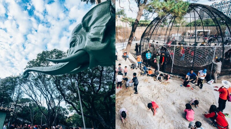 新竹動物園10大必玩亮點整理!大象門還原最原始藍綠色、河馬樂樂新家變兩倍大