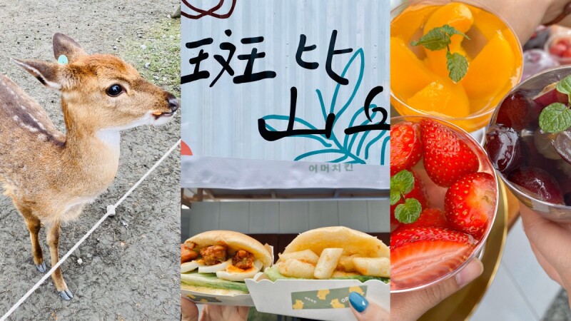 台版奈良全新升級!《斑比山丘》不只可以餵小鹿,還有美食市集必看4大亮點公開