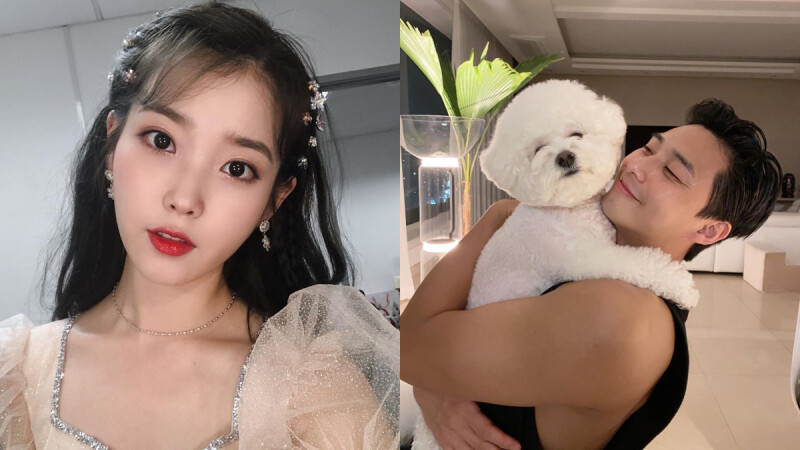 IU、朴敘俊、伯賢 都是超人氣YouTuber!更多日常秘密,大明星與粉絲零距離接觸!