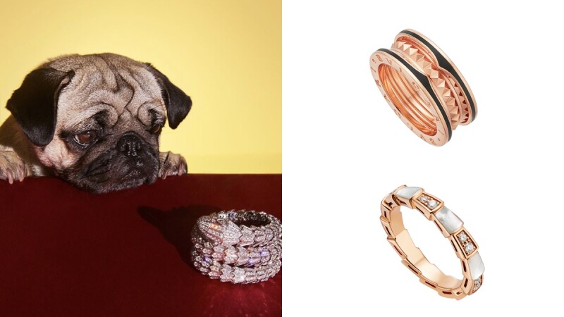 Bulgari寶格麗2020熱賣Top 6珠寶手錶！B.zero1戒指、Serpenti蛇型手環都入榜、手錶銷售黑馬是它...
