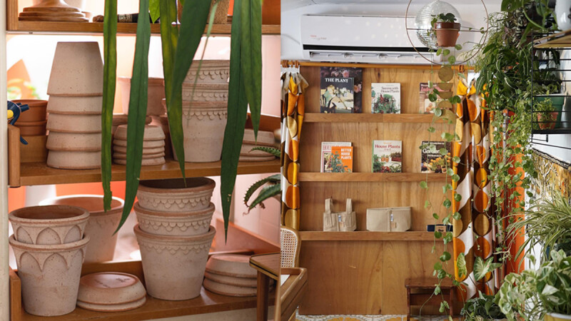 選一盆綠植吧！讓你獲得滿滿綠能量的預約制植栽選物店—hütte 棚屋