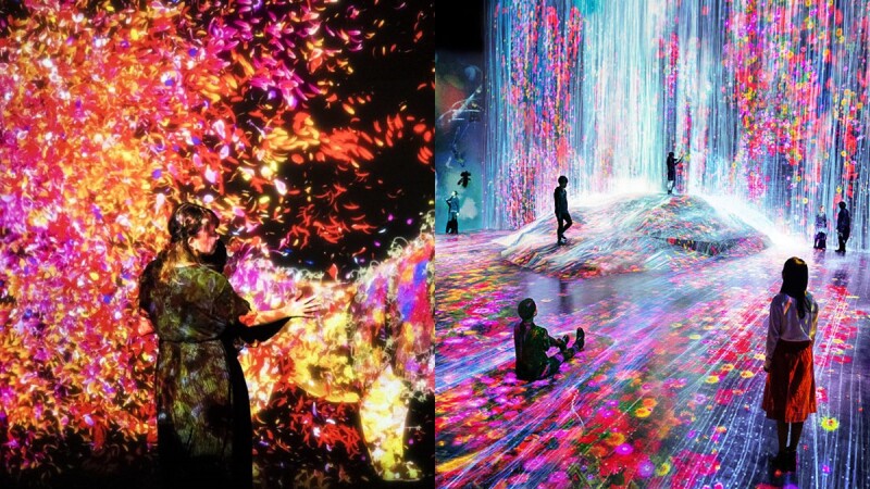 日本《teamLab Future Park未來遊樂園》6月登台!占地700坪、9大展區,絕美互動式藝術體驗展必拍一波