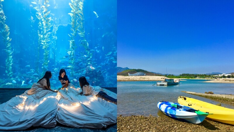 兩天一夜屏東「夜宿海生館」再升級!湛藍水族館前入夢鄉、清澈海水上划獨木舟,留下最難忘夏季回憶