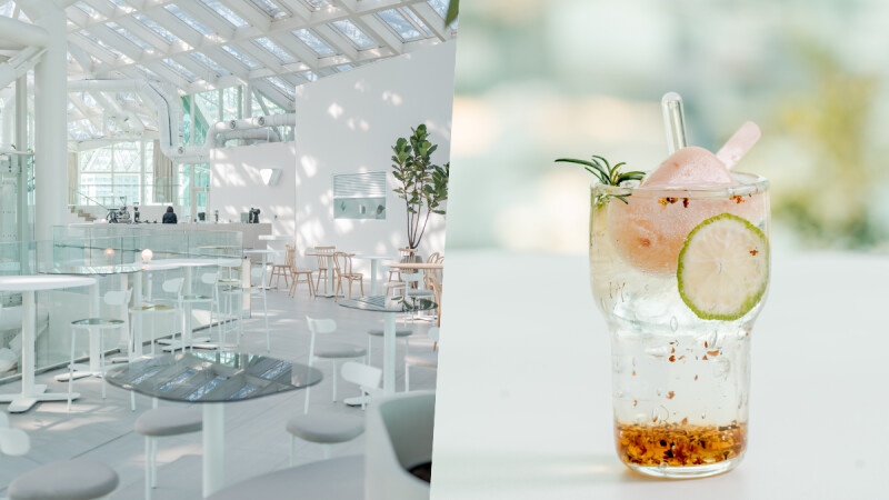 春池玻璃新作「南美春室 The POOL」，在天空公園的策展、餐飲、選物提案