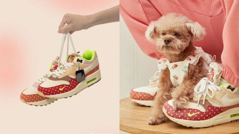 Nike Air Max 1推出萌狗新款:波卡圓點、溫柔奶茶色、全台僅這處開賣