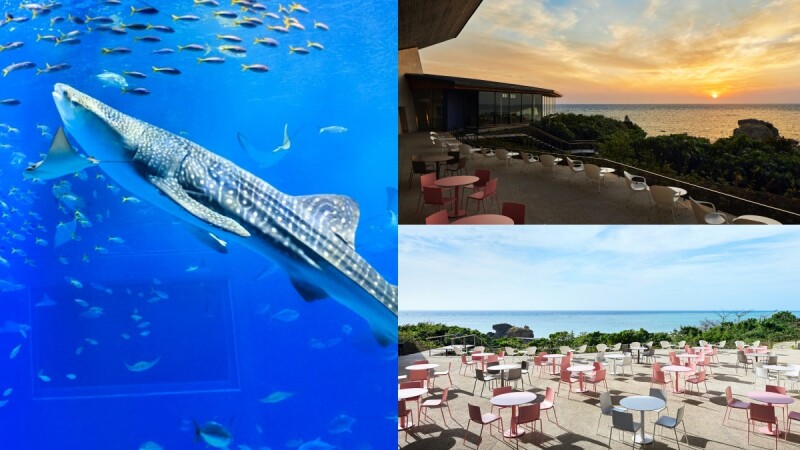 2023沖繩10大景點懶人包！亞洲最大水族館、無邊際海景咖啡廳超紓壓