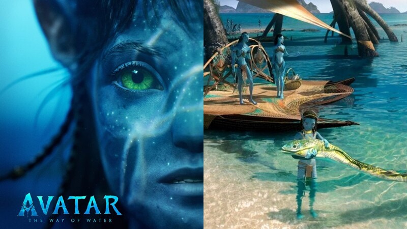 《阿凡達：水之道》必看3D！畫面震撼，沈浸式體驗讓你跟納美人一起遨遊潘朵拉