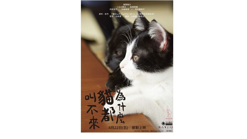 《為什麼貓都叫不來》一個落魄男子,和兩個好動喵星人,感動百萬人!