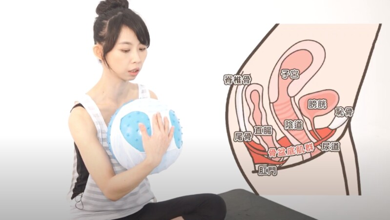 女生一生的幸福!不要只會凱格爾運動,強化整體「骨盆底肌」超重要,平常在重訓、想要私密處緊實、產後、會漏尿的人必學