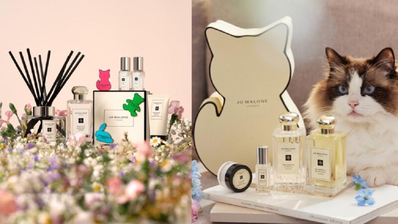 絕對要手速搶!Jo Malone London 太可愛的熊熊&貓咪禮盒&周邊~限量登場!送人超Q零失誤,搭配M編推薦不挑人的五款必收香氣,趁母親節優惠組一起買最划算~