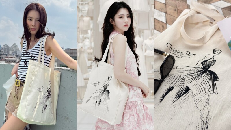 韓韶禧、南柱赫Dior帆布袋被韓妞問爆!如何買、多少錢一次告訴你