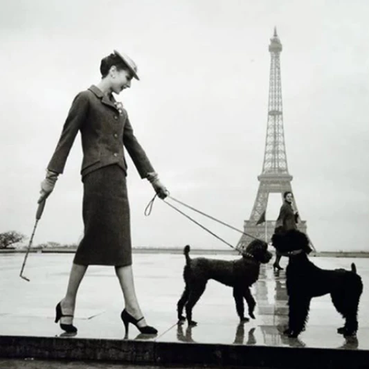 【編輯首選】愛上巴黎鐵塔的理由 十張最美的巴黎鐵塔風景