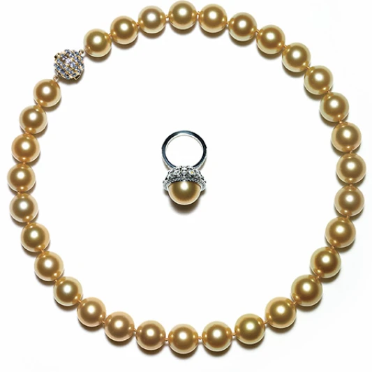 Tiffany &amp; Co. 頂級珠寶饗宴，海洋之美閃耀紐約夜空！