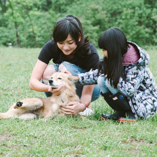 就在明天，TAKE ME HOME 愛心插畫創作展，請你一起幫牠找個家！