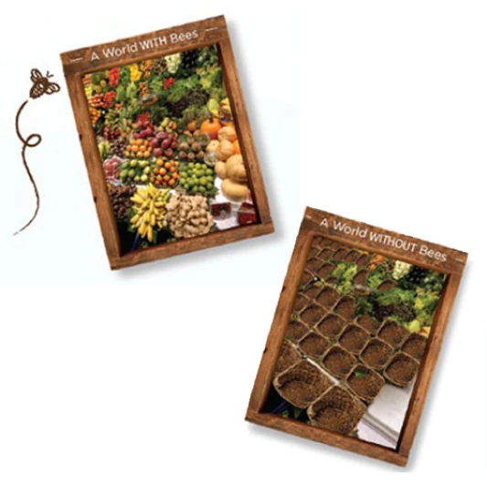 一起關懷環境，加入Burt’s Bees 「Save the Bees拯救蜜蜂」活動的行列