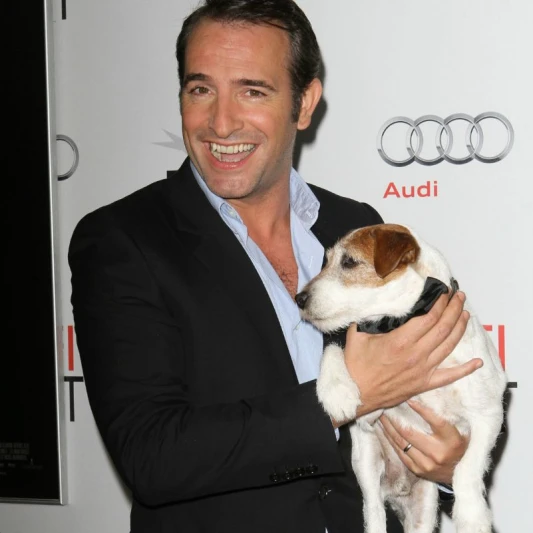 不再痛了！《大藝術家》奧斯卡明星狗Uggie安樂死