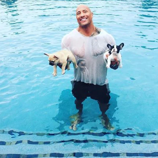 兩隻毛小孩差點溺水！巨石強森跳水搶救理出3大教訓