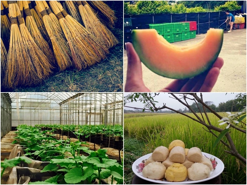 生活繁忙我想要放鬆！跟著健康無毒的學農FOOD飯廳一同體驗大自然