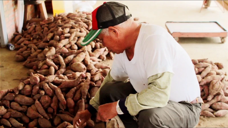 愛地球人人有責 Melvita邀妳一起有機生活