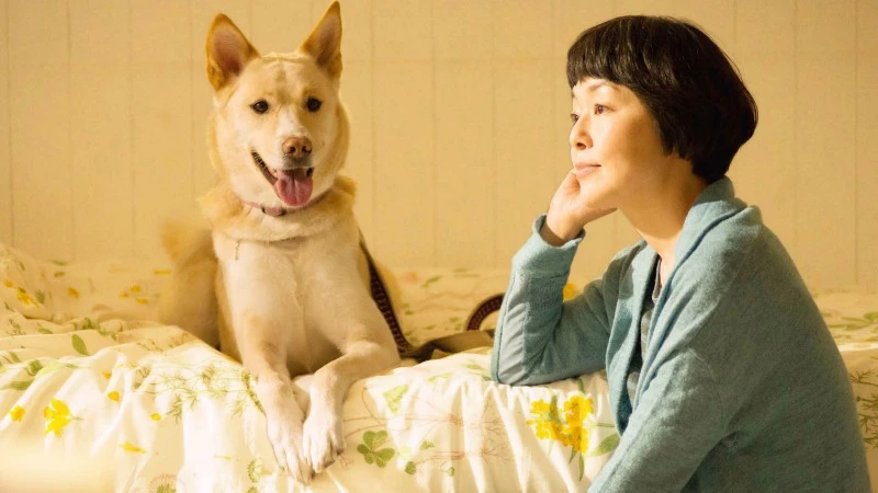 珍惜與毛小孩的相遇！《為你取名的那一天》最賺人熱淚的真實紀錄