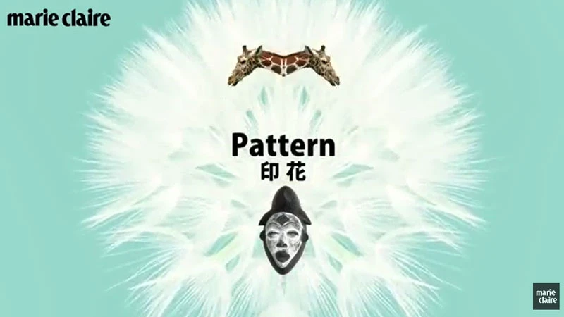 浪漫秋日【看秀說英文】 