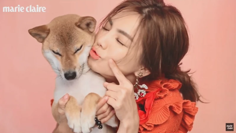 寵物自拍指南 ，陳嘉樺【搶先快報】 