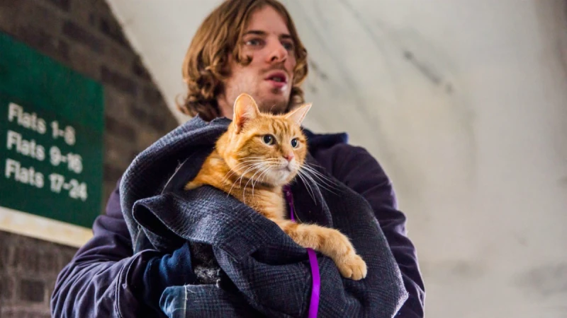 「在遇見你之前，我是一個人。」改編真人真事 今年最療癒新片《遇見街貓BOB》