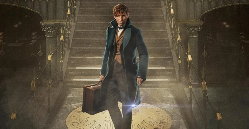 這些《哈利波特》角色去哪了?好想在《怪獸與牠們的產地》看到他們啊~