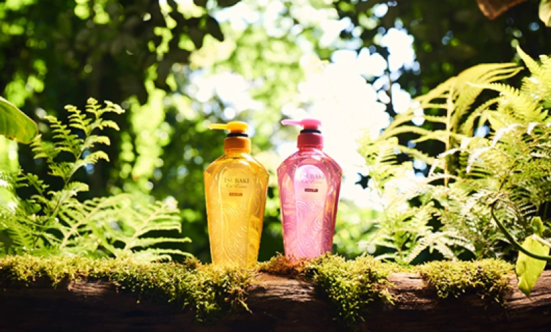 冬天用頂級山茶花精油放大絕，給頭皮&amp;髮絲奢華養護吧！