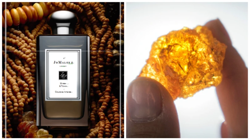 Jo Malone London最令人期待的新香「沒藥與零陵香豆」，黑瓶大揭密！