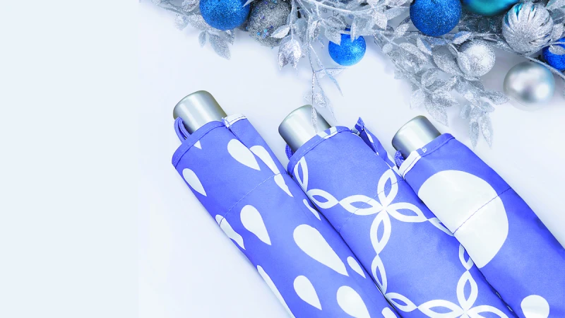 連Flora花神都著迷！didyda雨傘繽紛登場！