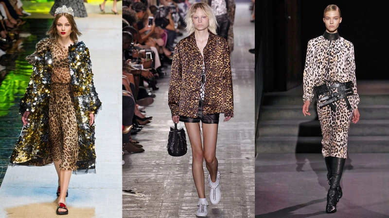 時尚豹女郎 Lady Leopard