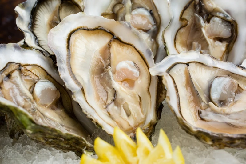 蠔中之王任暢吃 文華Café「週末 鮮．吃．吧」九月限定生蠔吧 周末五款生蠔鮮活饗宴開桌