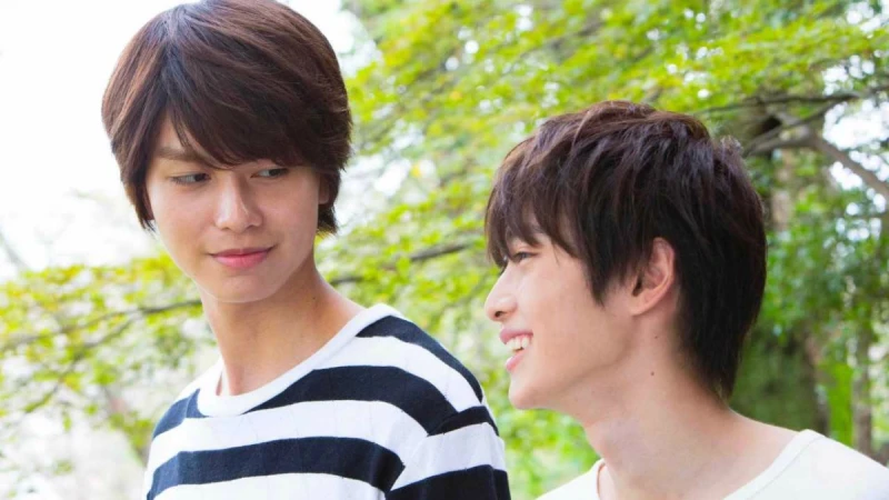 「聽不見...又不是你的錯！」改編清新BL漫畫，《聽見向陽之聲》重現男男版最萌身高差