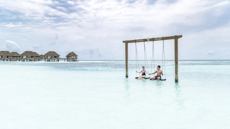 讓神準塔羅為你挑出最美海島，打造幸福甜蜜回憶！