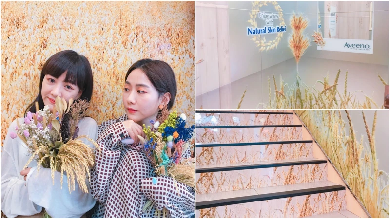 「從樓梯走上來左右邊都是燕麥田，怎麼拍都超有文藝感」網路上好評不斷的乳液Aveeno在西門町開設快閃店