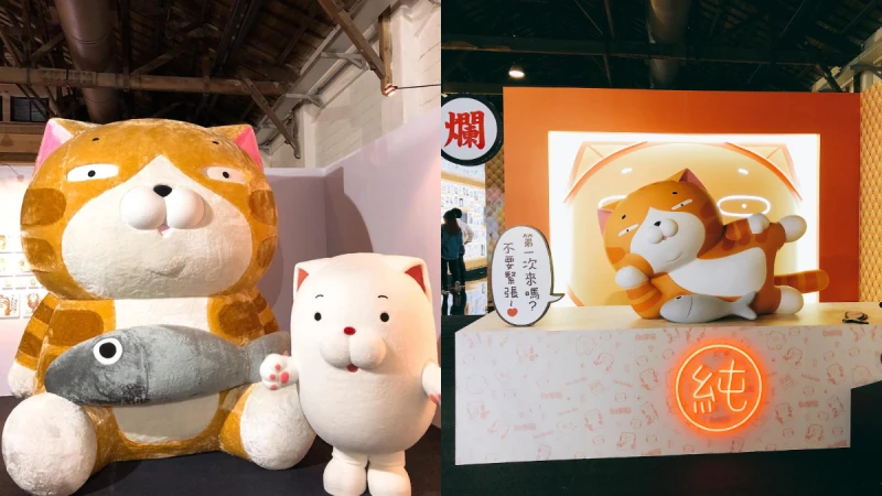 就愛他的嗆辣臭跩!《白爛貓超有事特展》療癒登場,煩的太可愛