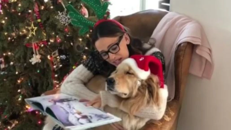 「拜託讓我睡！」珍妮佛嘉納為愛犬說聖誕故事，狗狗睡死、打哈欠反應萌翻所有人