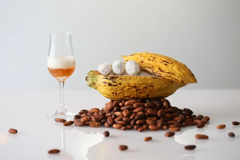 台產鴨肝醬、魚子醬、可可豆都入菜 巴黎廳1930讓台灣獨一食材好威 